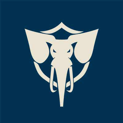Invictus Gaming