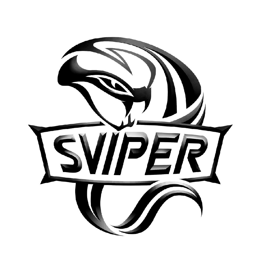Team Vitality
